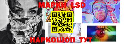 шишки Дмитров