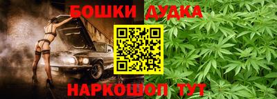 шишки Дмитров